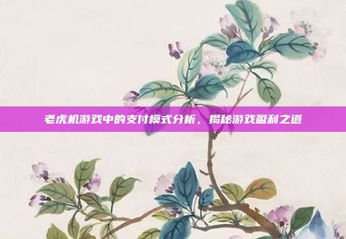 老虎机游戏中的支付模式分析，揭秘游戏盈利之道