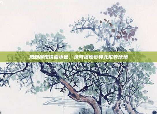 热刺展现铁血本色，沃特福德梦碎北伦敦球场